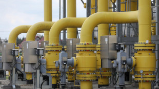 Il gas parte in ribasso (-1,5%) a 30,7 euro al Megawattora