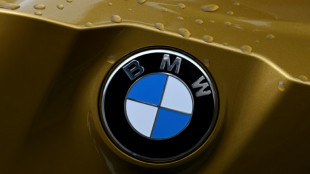 Stellantis y BMW llaman a revisi&oacute;n 725.000 autom&oacute;viles en EEUU por un problema en los airbags