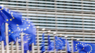 Ue, 'minaccia di droni russi? Non c'&egrave; allerta specifica ma notizia non sorprende'