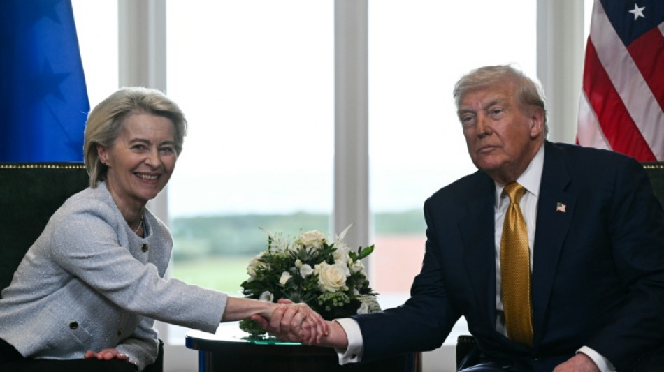 Droits de douane: les eurod&eacute;put&eacute;s suspendent l'accord UE/USA, apr&egrave;s le revers inflig&eacute; &agrave; Trump