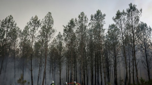 Incendies en Gironde: la chaleur menace apr&egrave;s une cinqui&egrave;me nuit de lutte