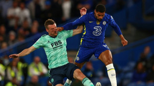 Angleterre: Chelsea presque assur&eacute; du podium, Everton maintenu