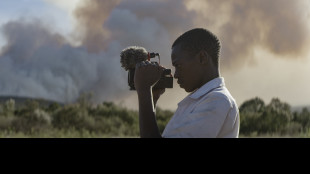 WeWorld porta 'il margine' a Bologna con cinema, mostre, arte e giornalismo