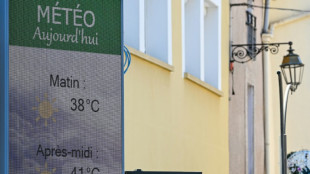 La canicule s'&eacute;tend, 7.800 hectares d&eacute;j&agrave; br&ucirc;l&eacute;s en huit jours