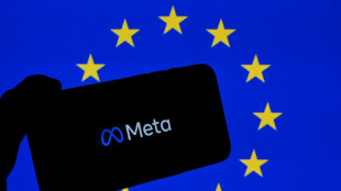 Meta defends ads model in 550-mn-euro data protection trial