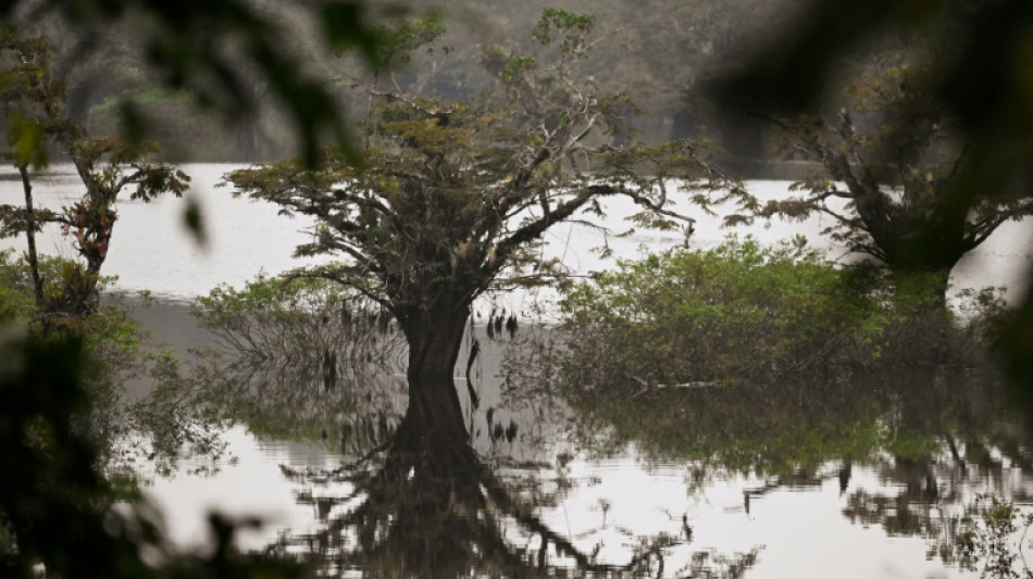 Cambio clim&aacute;tico y deforestaci&oacute;n amenazan al humedal mejor conservado de Ecuador