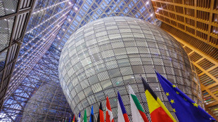 L'Ue coordina una risposta su hantavirus, attivato meccanismo protezione civile