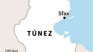 Mueren 13 migrantes en un naufragio en T&uacute;nez y 27 est&aacute;n desaparecidos
