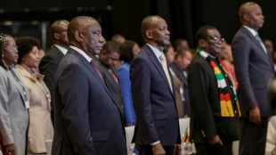 Sud&aacute;frica pide unidad en una cumbre regional tras las manifestaciones antimigrantes