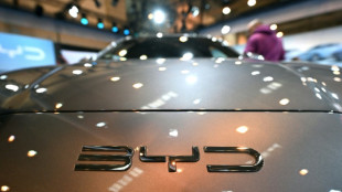 Experte: China wird dieses Jahr fast acht Millionen reine E-Autos bauen  