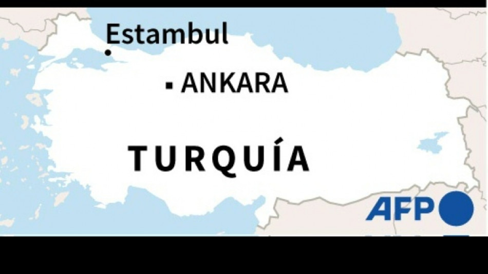Diecis&eacute;is muertos y 30 heridos en dos accidentes de tr&aacute;fico en Turqu&iacute;a