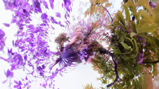 Calendario Pirelli 2026 tra natura e tecnologia sfida l'ageismo