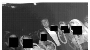 Democrats release new cache of Epstein photos