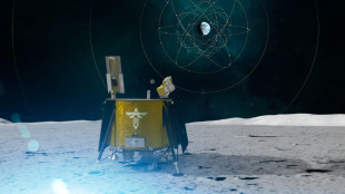 Dalla Luna uno sguardo inedito sul guscio di plasma attorno alla Terra