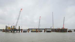 BMWK sch&auml;tzt Kosten f&uuml;r LNG-Terminals mittlerweile auf knapp zehn Milliarden Euro