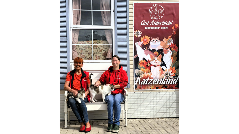 Ein Jahr Gut Aiderbichl Katzenland