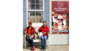 Ein Jahr Gut Aiderbichl Katzenland